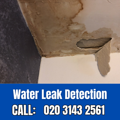 Expert Water Leak Detection Services in High Barnet | High Barnet Leak Detection